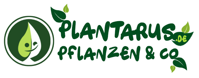 Plantarus - Pflanzen und Co-Logo